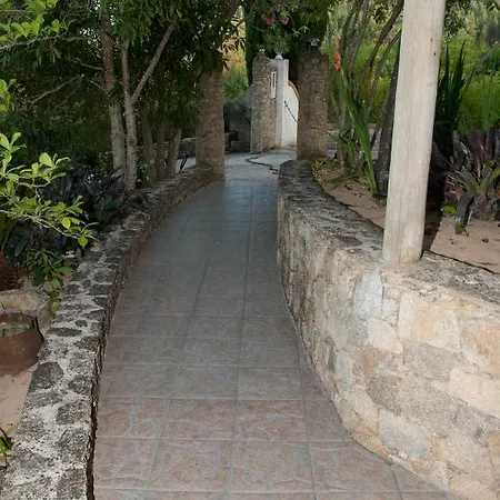 Guest house In Bed With Lisbon - Castelo De Bode Tomar